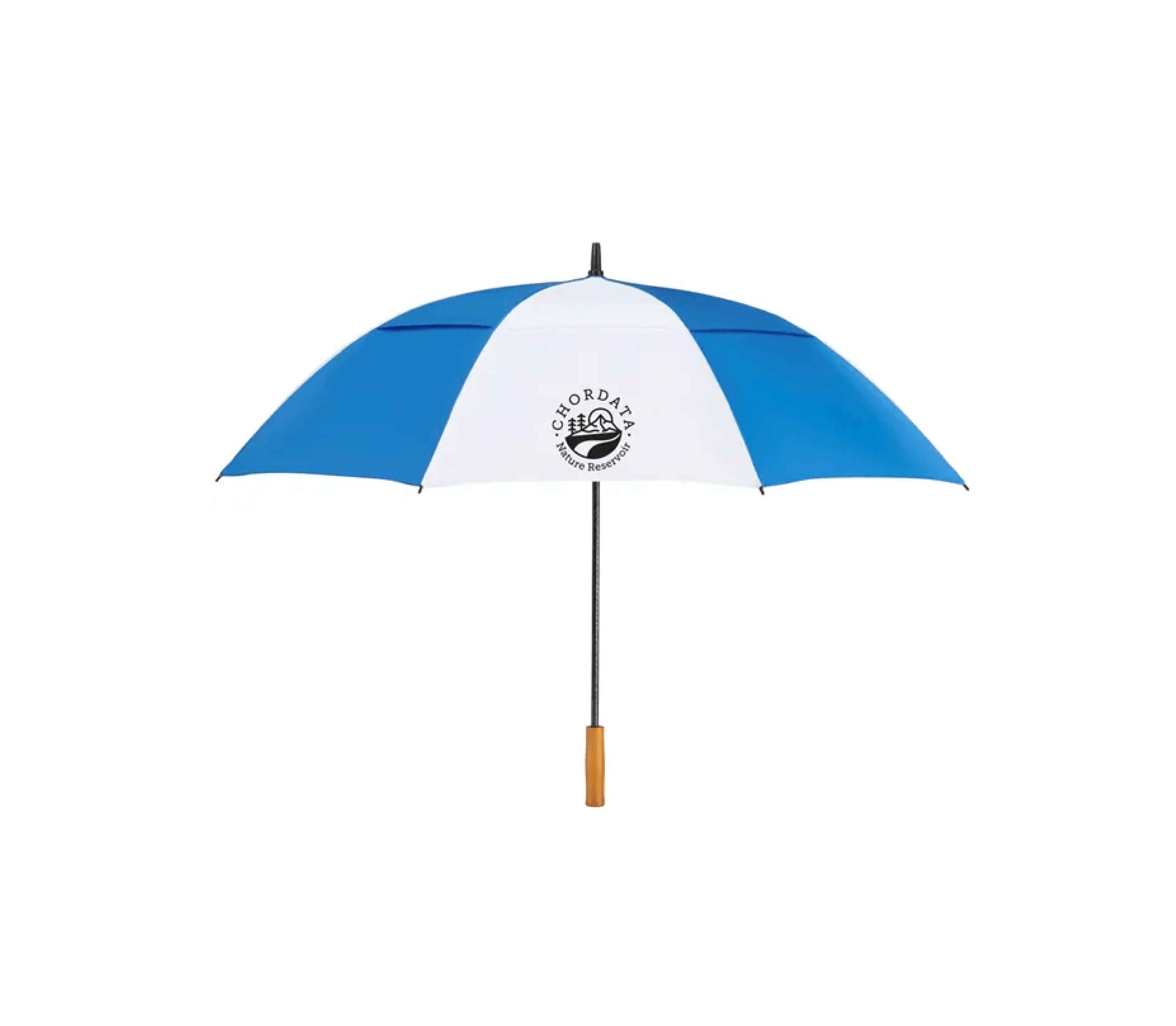 Umbrellas