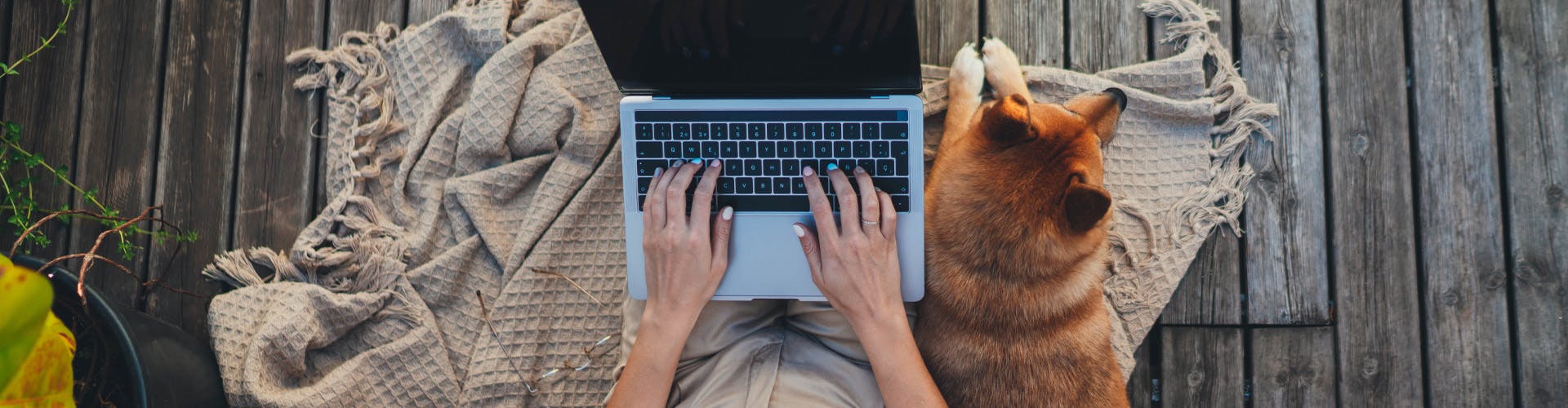 Ideas and Inspiration Blog