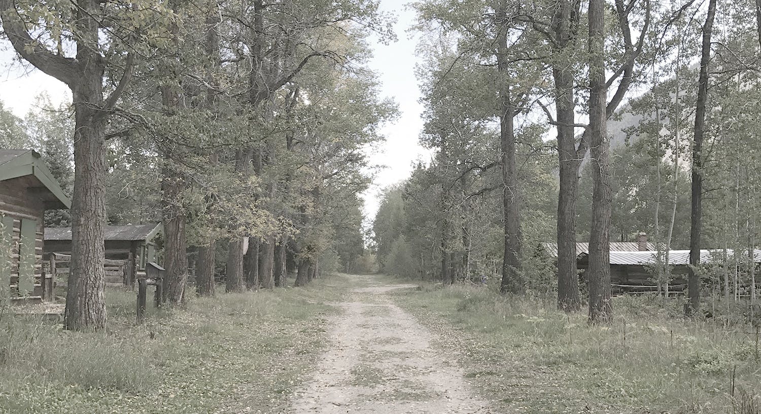 vintage cottages in the woods