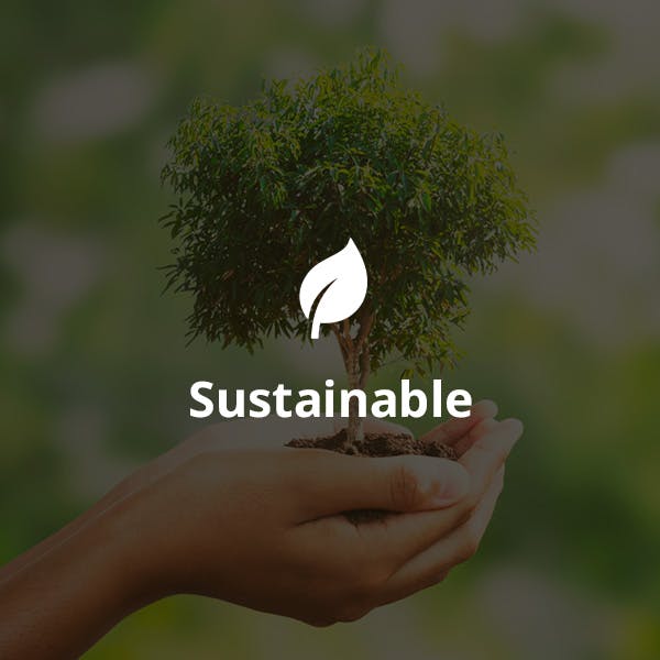 sustainable products