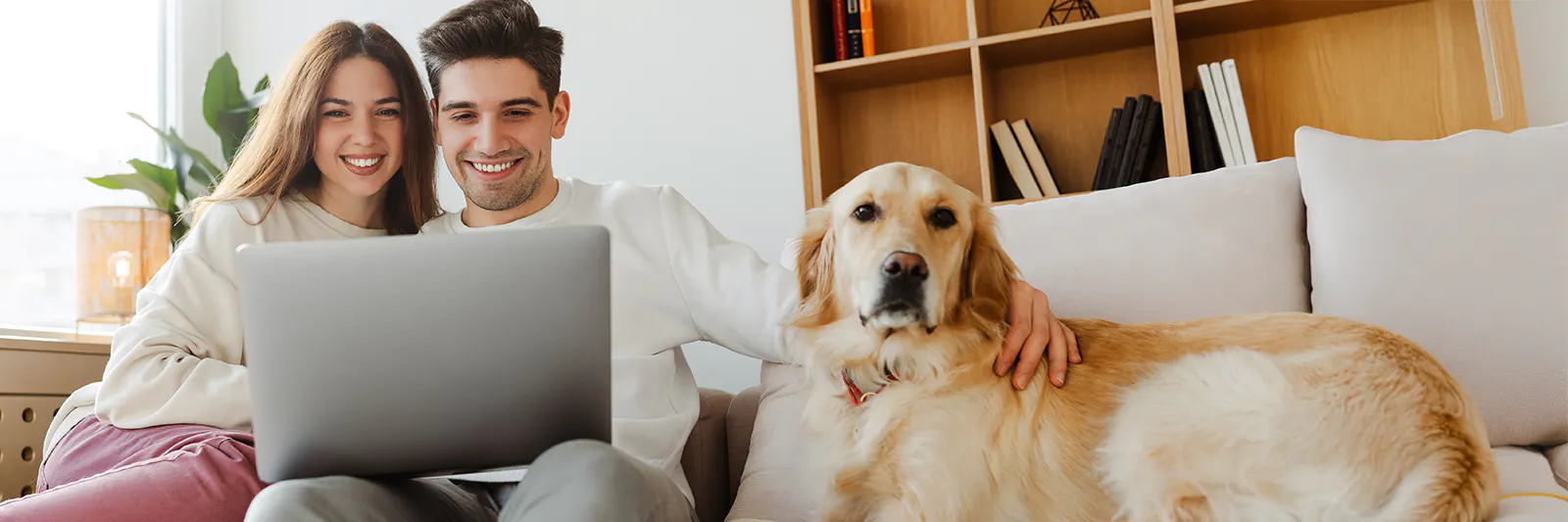 couple on the couch with their dog looking at company stores on a laptop