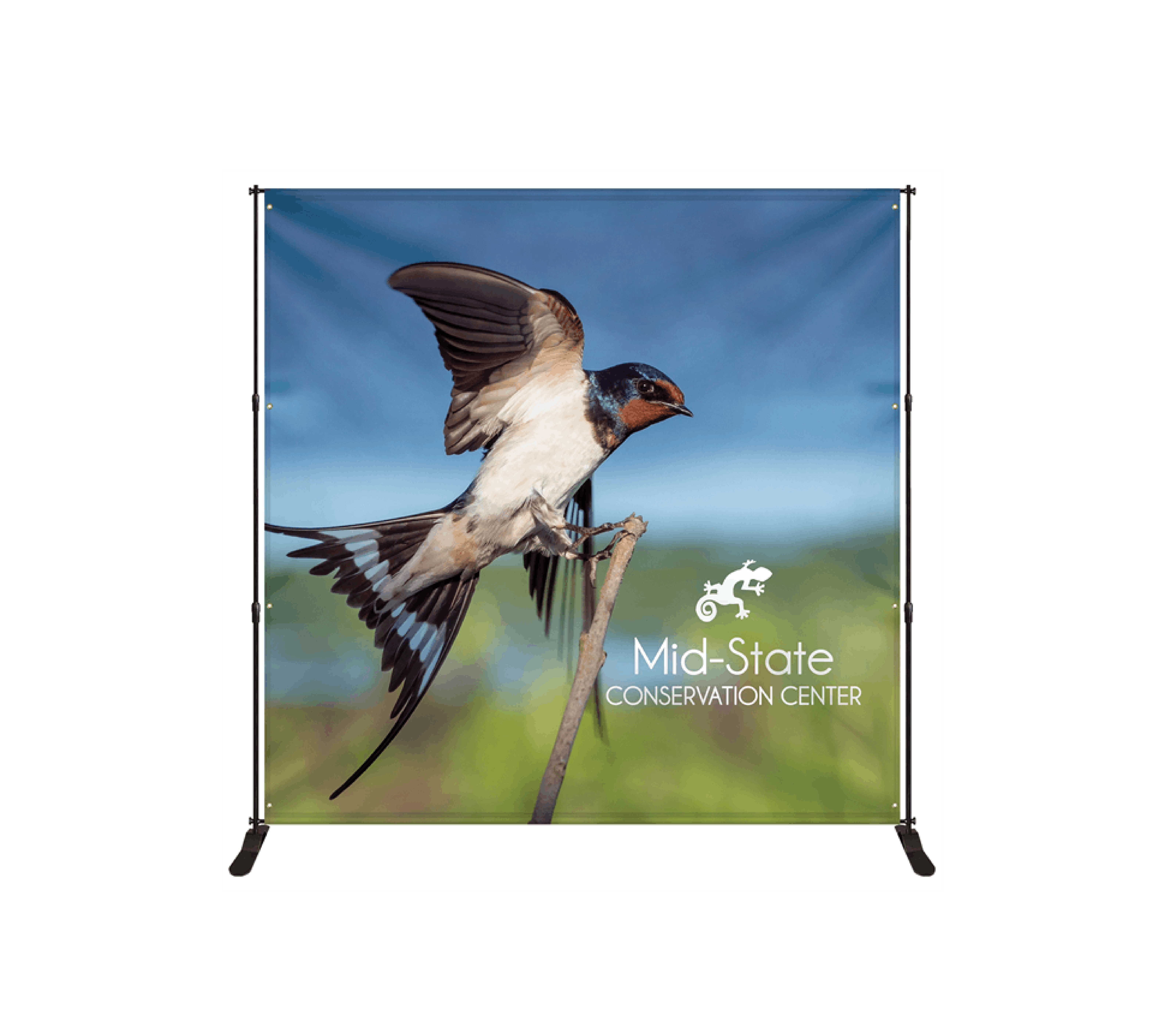 Backdrops
