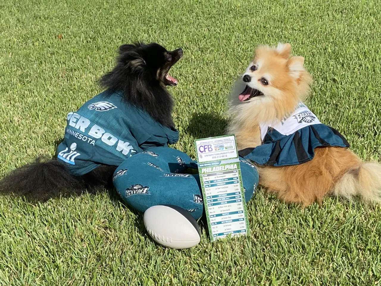 toffee pick eagles cheering