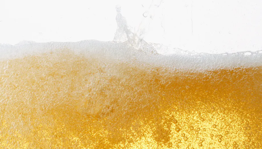 Master Home Brewers  (6)