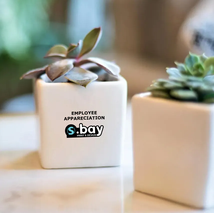sustainable products