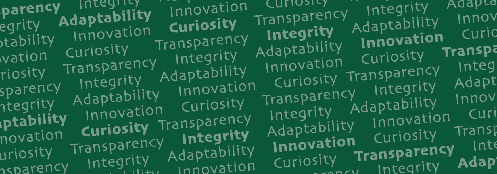 Transparency. Integrity. Adaptability. Innovation. Curiosity.