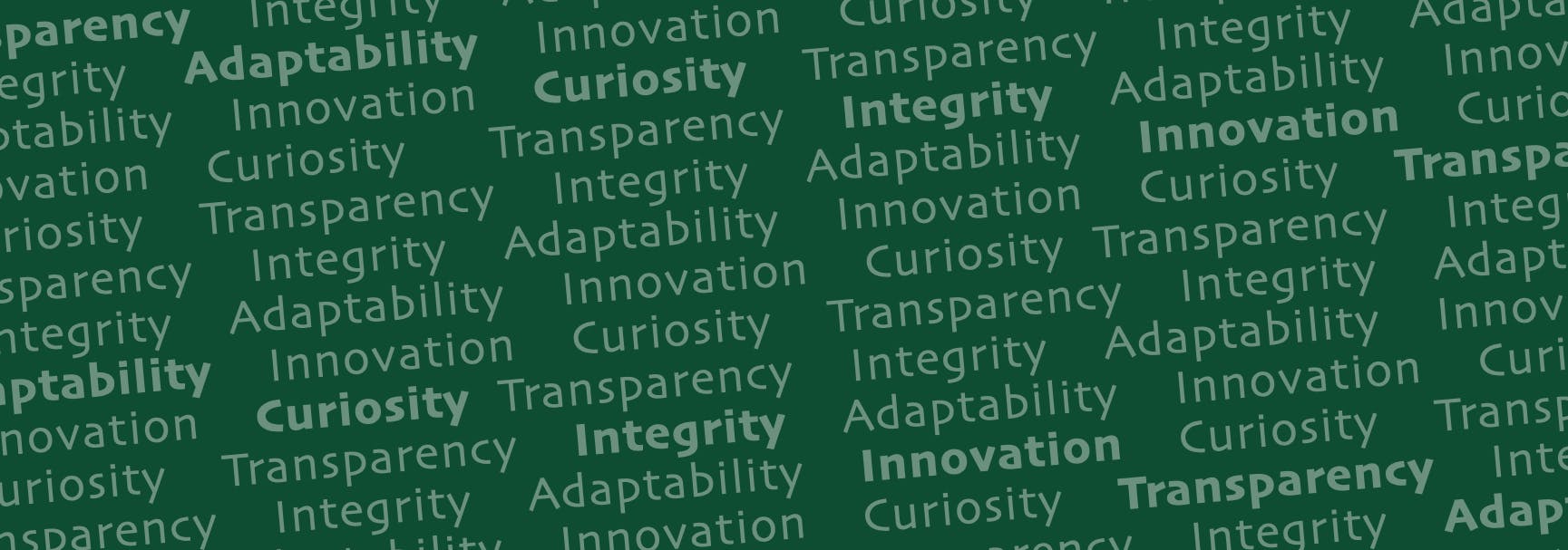 Transparency. Integrity. Adaptability. Innovation. Curiosity.