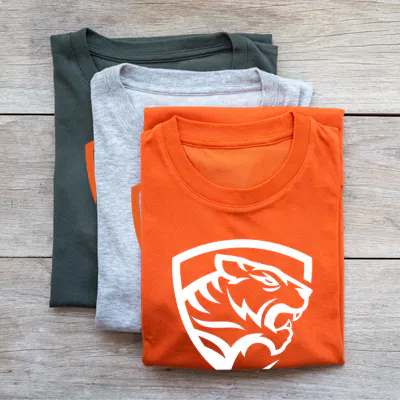 Fundraiser tshirt school spirit week graduation gifts