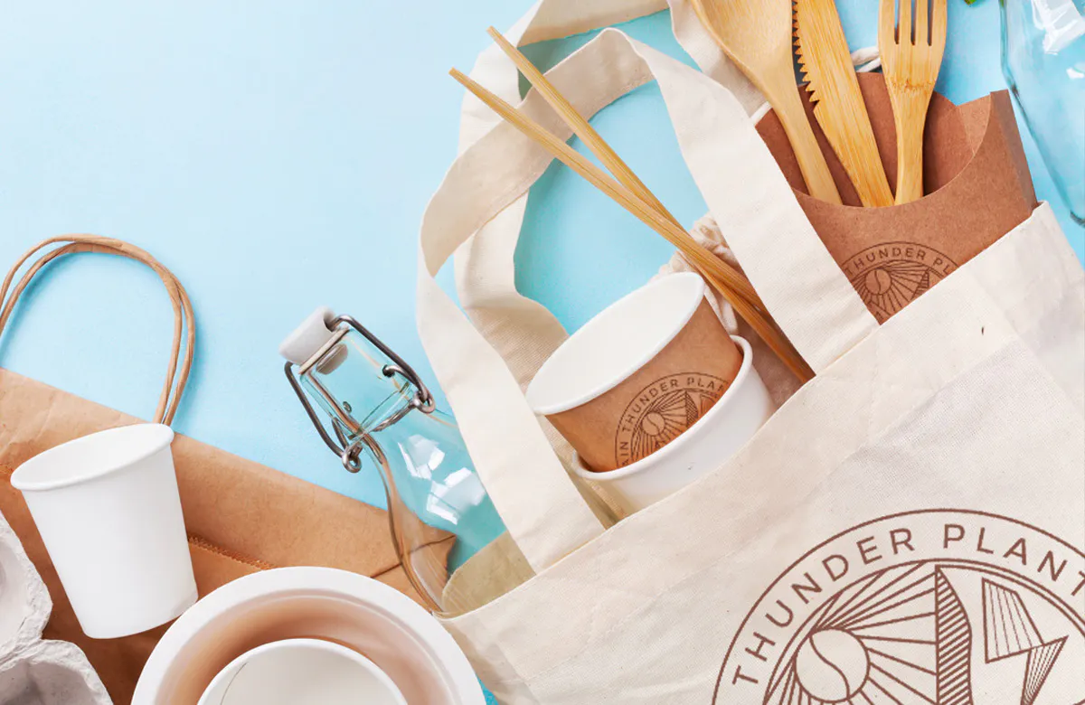 sustainable and ecofriendly products