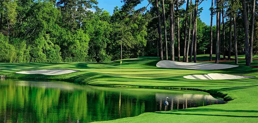 Screenshot 2025-09-10 at 8.20.38 PM